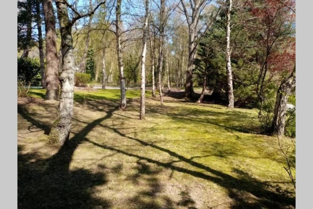 La sérénité dans un cocon de verdure Le Touquet Exterior foto